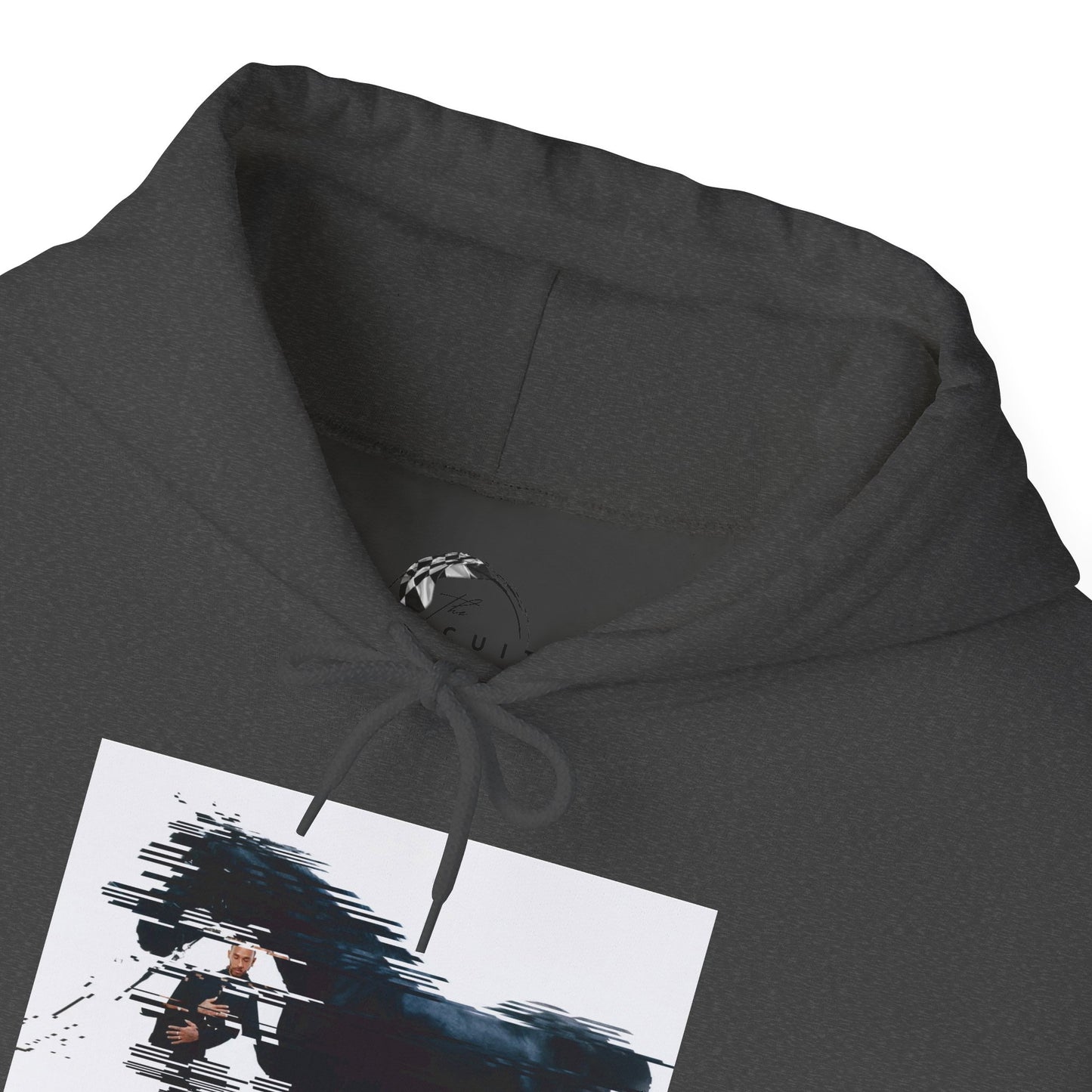 Glitched Stallion Hoodie